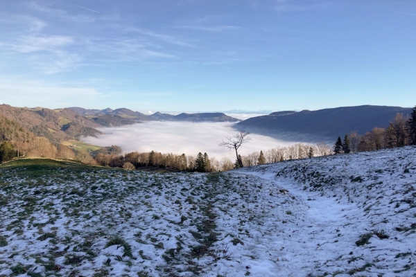 Auf dem Wolfsschluchtpfad im Naturpark Thal