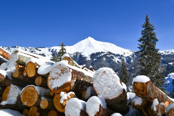 Winterzauber im Saanenland