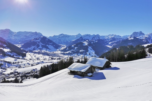 Le Saanenland, son soleil et son panorama