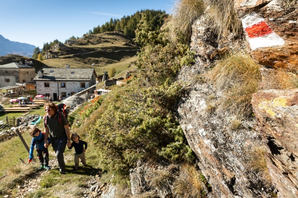 Chemin des charbonniers