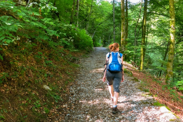 Eindrückliche Saxetenschlucht