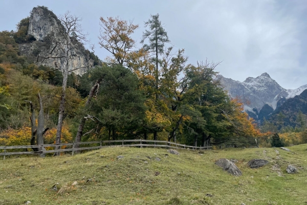 Randonnée d'automne au Lichtenstein avec vue sur la vallée du Rhin