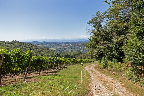 Weinwandern ganz unten