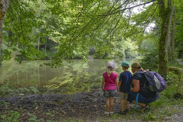 Wandern am Feierabend 4