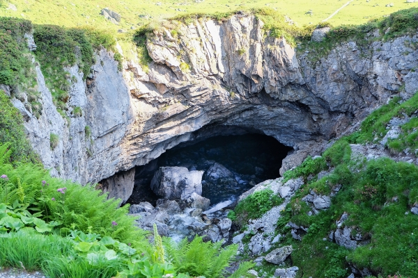 Lochsitenkalk bewegt die Welt 2