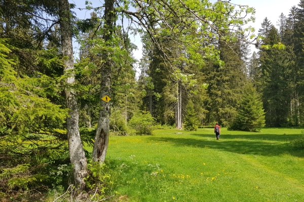 L’énergie dans le Jura bernois