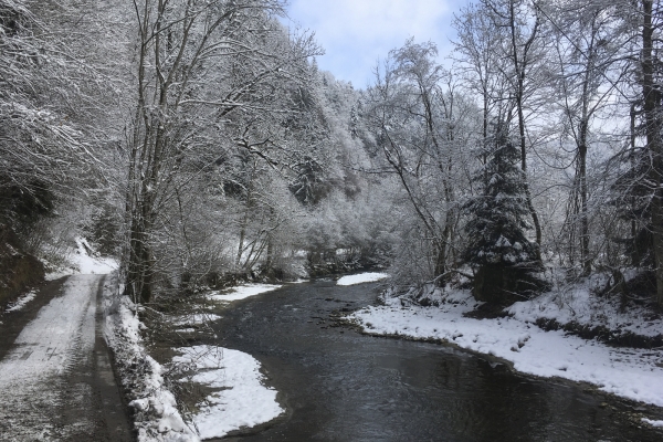 Dans les gorges de la Schwarzwasser