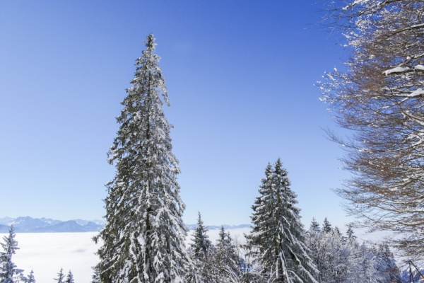 Den ganzen Tag im Schnee 