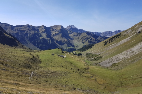 Vue au sommet dans le Diemtigtal