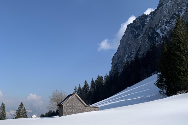 Schneeschuhwanderung -  Niederurner Täli GL