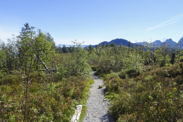 Abwechslungsreicher Höhenweg im Gantrischgebiet