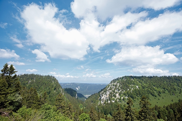 De la Combe Biosse à la Combe Grède