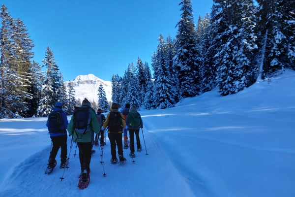 Schneeschuhwanderung WT1