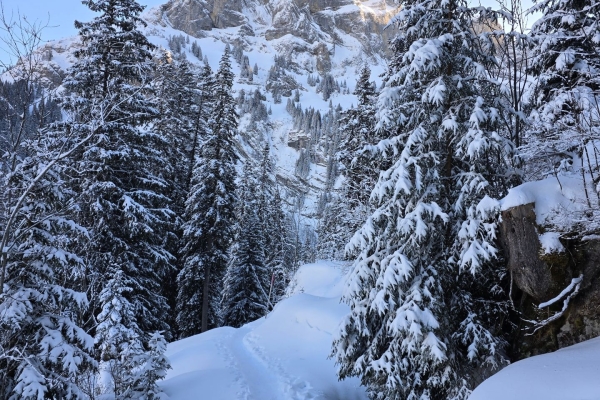 Schneeschuhwanderung im Wirzweli