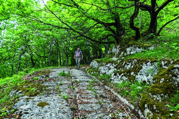 Sur la route du sel II