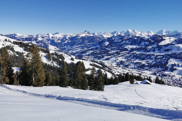 Le Saanenland, son soleil et son panorama