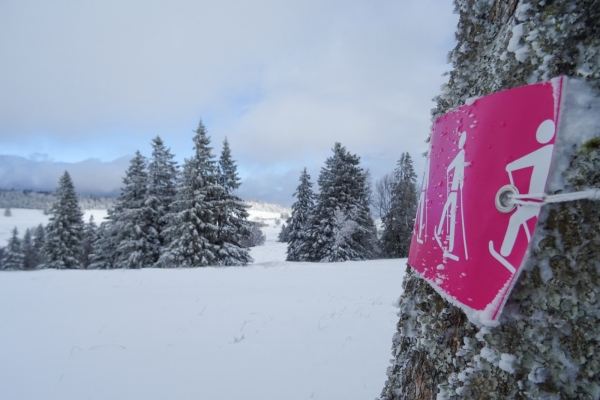 Montagne de Granges: randonnée en raquettes