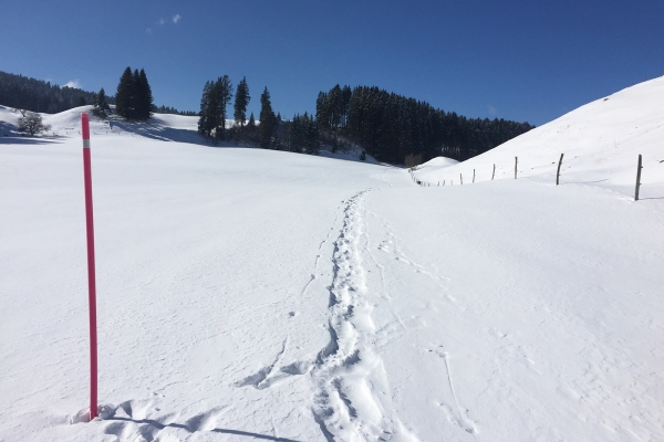 Le Jura sous la neige