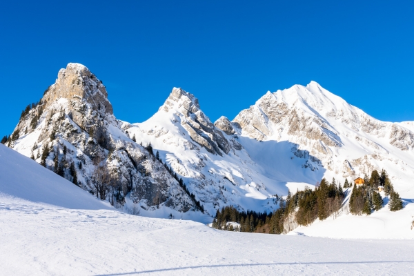 Schneeschuhtraum auf Gitschenen UR