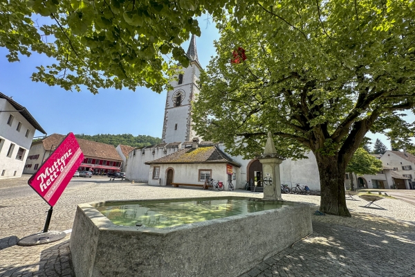 De château en château aux portes de Bâle