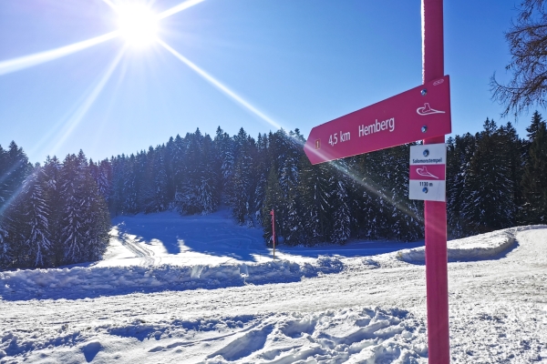 Fermé: Circuit en raquettes dans le Toggenburg