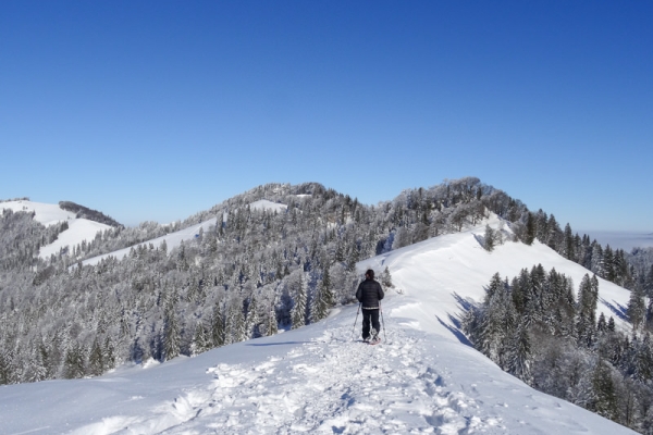 Den ganzen Tag im Schnee 