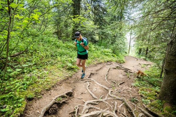 Wanderung vom Col du Pillon an den Arnensee