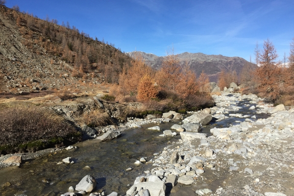 Le long de l’eau à Grächen