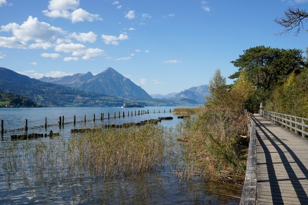 Pèlerinage le long du lac de Thoune