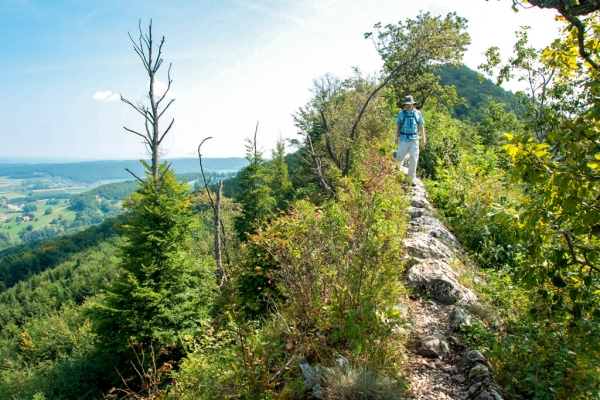 Sur une arête du Mittelland