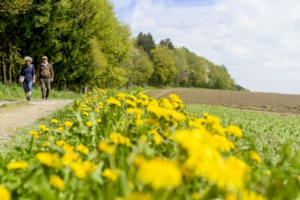 Über den Jorat im Norden