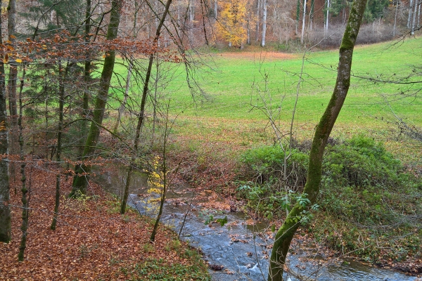 Dem Gäbelbach entlang nach Bern