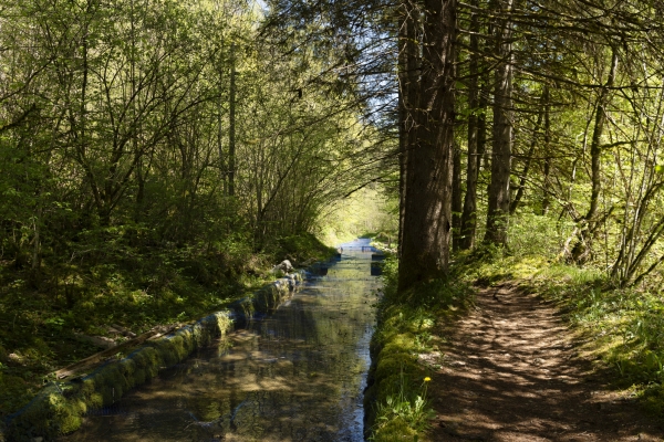 Durch die grüne Schlucht: die Gorges de l’Orbe