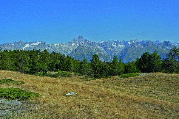 Bergpanorama pur auf der Moosalp