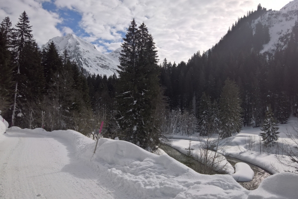 De Klosters à l’Alp Garfiun