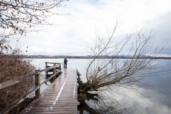 Promenade hivernale au lac de Greifen