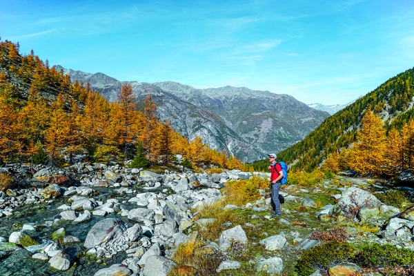 Von Grächen ins Tal des Riedgletschers