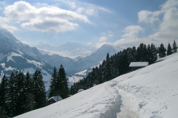 Panoramaweg am Adelbodner Sonnenhang