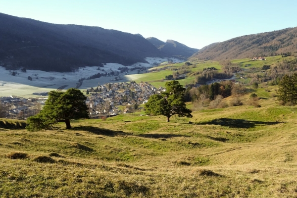 Sentier de la Wolfsschlucht dans le Parc naturel Thal