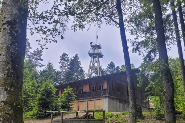 Idyllische Wanderung durchs Mittelland