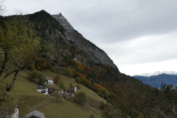 Feurige Herbstwanderung in Liechtenstein mit Aussicht aufs Rheintal