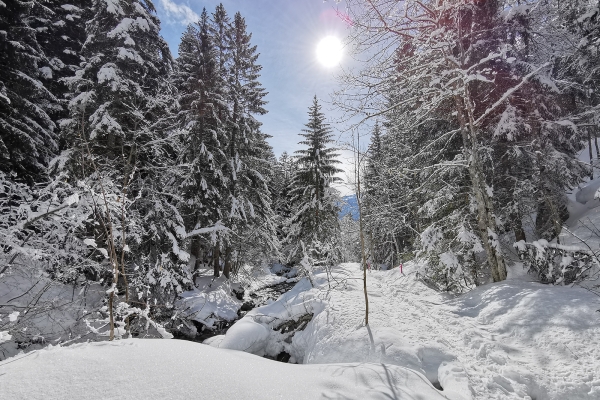 Randonnée hivernale au pied des Muverans