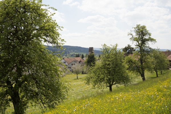 De Weinfelden à Frauenfeld