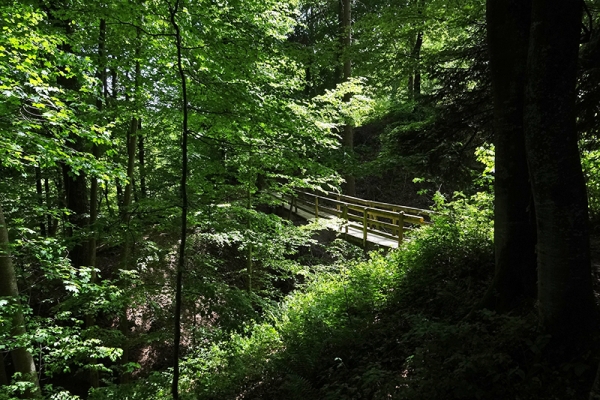 Dichte Wälder, tiefe Schluchten