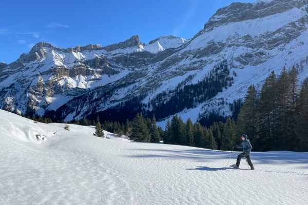 Le charme de l’hiver au col du Pillon