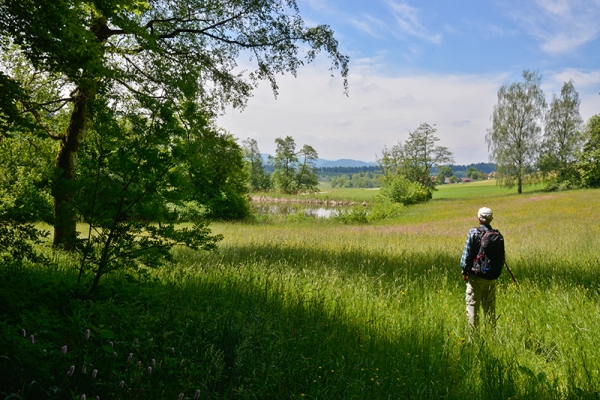 Unterwegs im Fürstenland II