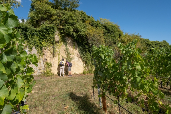 Neuenburg, die «gelbe Stadt»