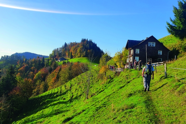 Aufs Schnebelhorn