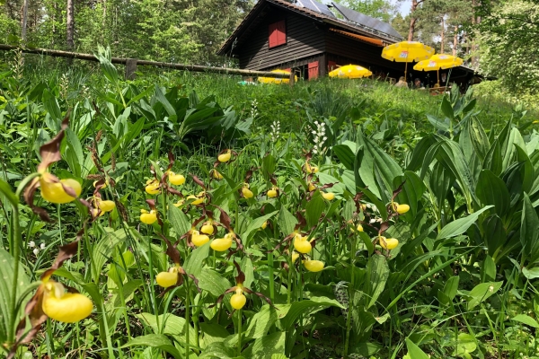 NATURSCHUTZGEBIET HASENBUCK