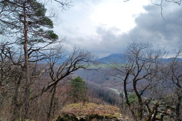 Winterliches Oberbaselbiet